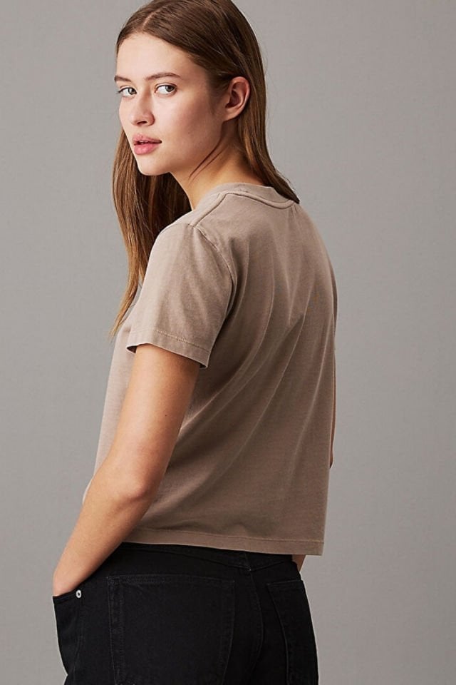Calvin Klein Washed Puff Print T-shirt Kahverengi